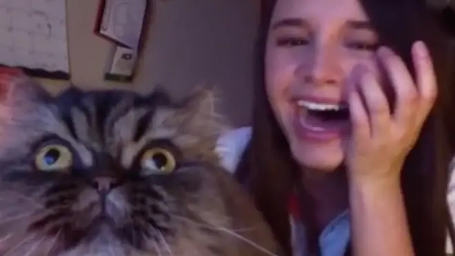 Maura described her cat as a ‘legend’ in the caption of her now viral TikTok