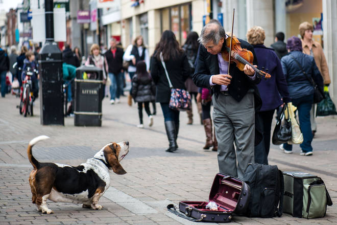 A dog watches a busker playing violin.