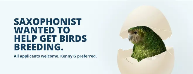 The advert calls for a saxophonist to encourage the birds to mate
