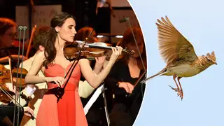 ‘It’s genius’ – classical music stars on why we love The Lark Ascending so much