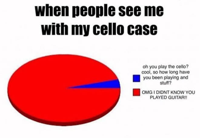 Cello case