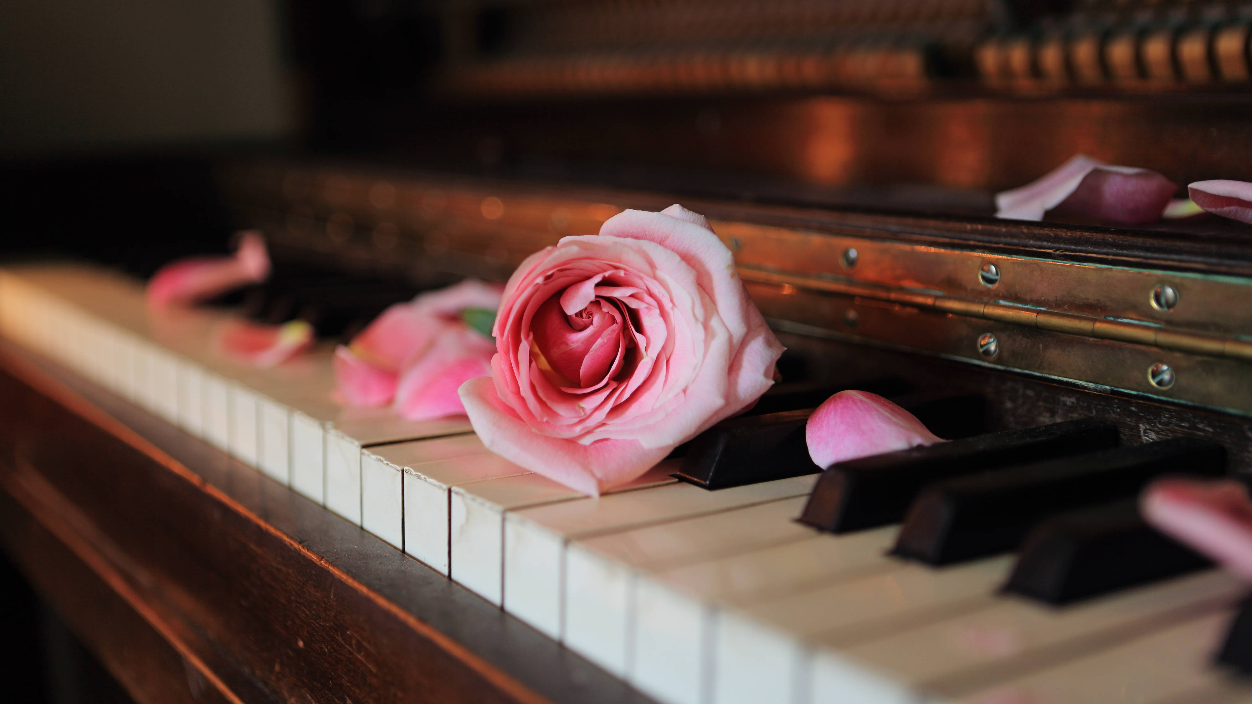 Музыка romance. Романтическое пианино. Рояль с цветами. Цветы на пианино. Цветы на рояле.
