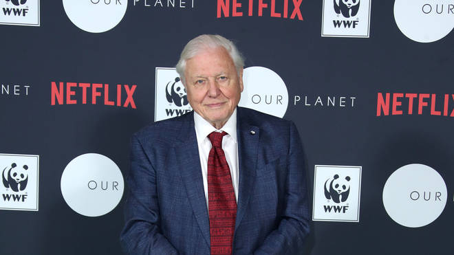 Netflix And WWF 'Our Planet' Press Conference