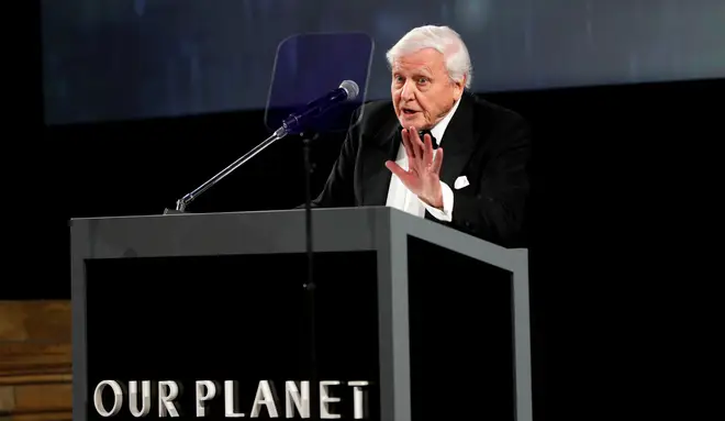 Sir David Attenborough speaks at the Our Planet Global Premiere