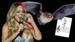 Bats have a wider vocal range than Mariah Carey, at an astonishing seven octaves