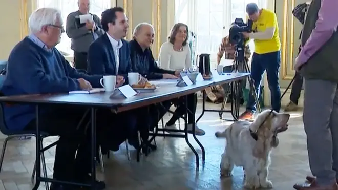 A hopeful dog performs for a judging panel, during auditions in the search for performers for a rare Mozart symphony.