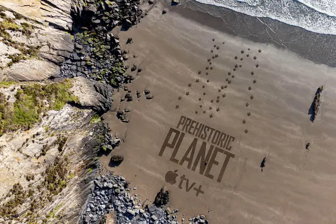 Aerial views of Tyrannosaurus rex footprints recreated in the sand in Wales, to launch 'Prehistoric Planet'
