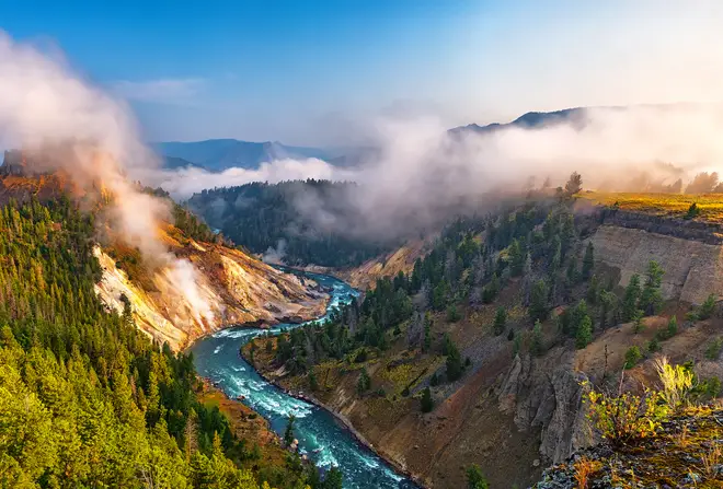 The Yellowstone River winds through the tree-lined cliffs of Yellowstone National Park.