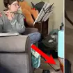 Mischievous cat steals owner’s music stand during flute practice.