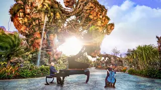 The Piano Guys release video for 'Avatar' theme