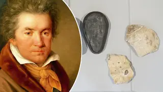 Fragile skull fragments, presumed to be Beethoven’s, returned to Vienna for study