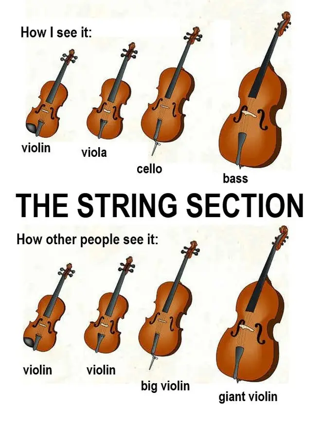 String section