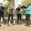 Alexander Armstrong and The Sixteen sing to penguins at London Zoo