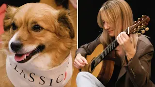 Classical guitarist Alexandra Whittingham serenades Freddie, and RSPCA rescue dog ahead of Classic FM’s Pet Classics.