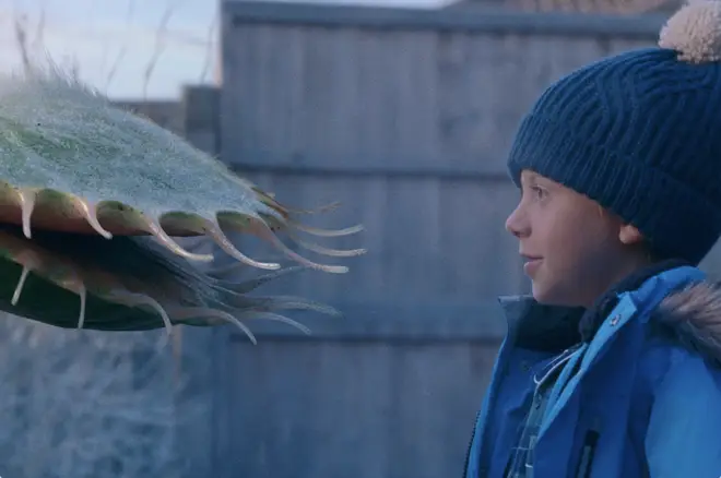 Snapper the Venus flytrap is the star of the 2023 John Lewis Christmas advert