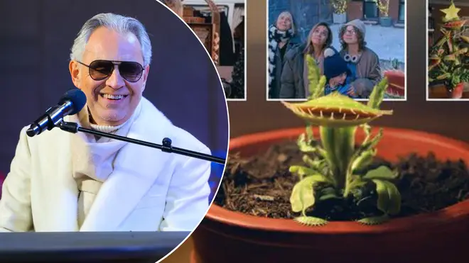 Andrea Bocelli provides semi-operatic soundtrack to story of Snapper the Venus Flytrap