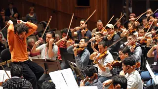 Why are there so many violins in an orchestra?