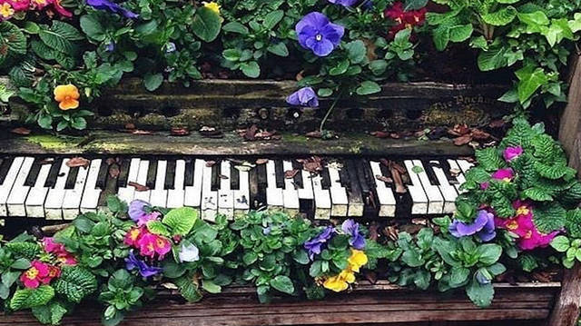 Classical pieces inspired by walking