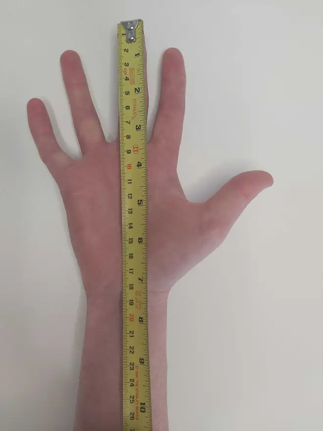 Normal human hand