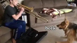 Dog hates the trombone