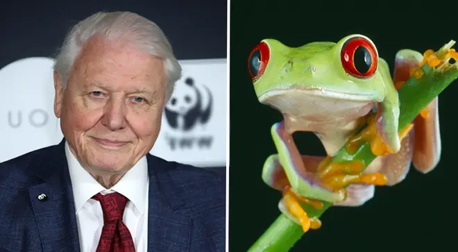 David Attenborough’s Netflix documentary, Our Planet, explores the devastating effects of climate change