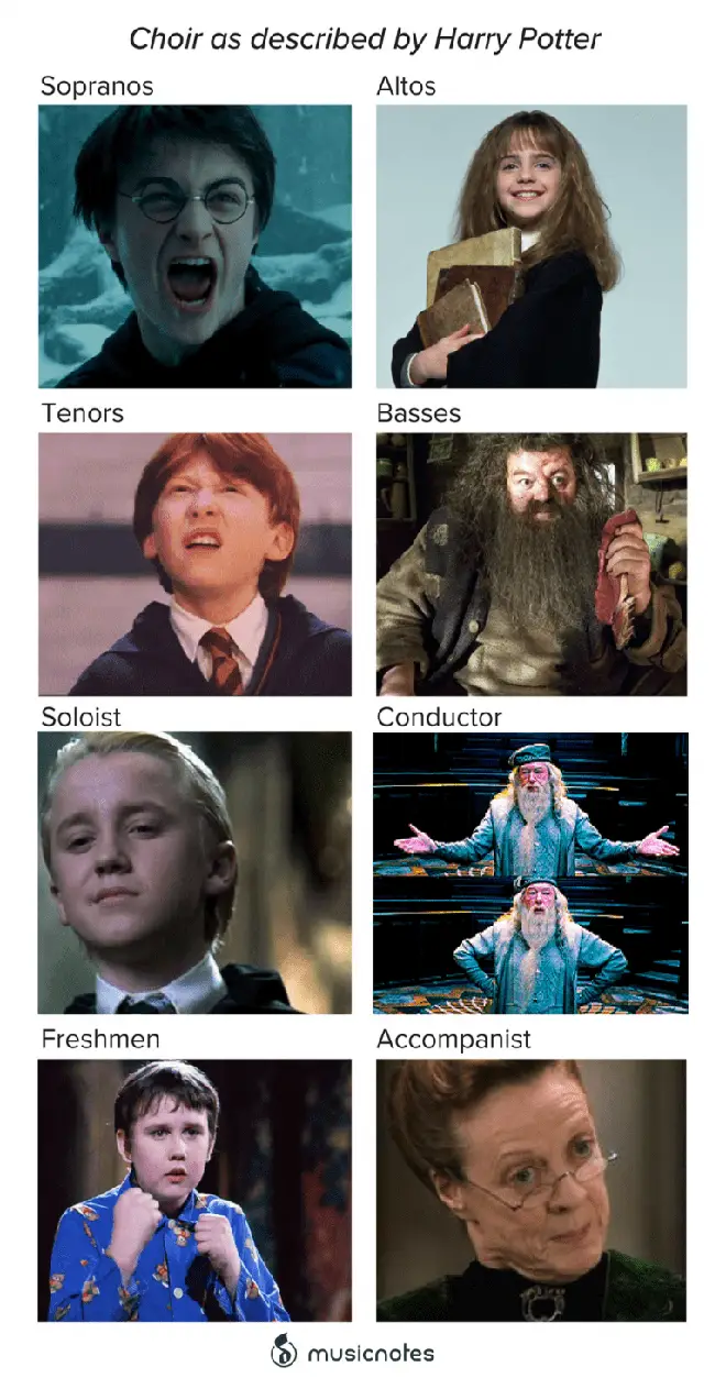 Choir as described by Harry Potter
