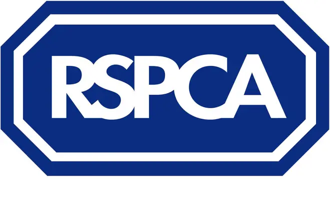 Pet Sounds in association with RSPCA