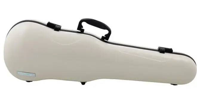 Violin case