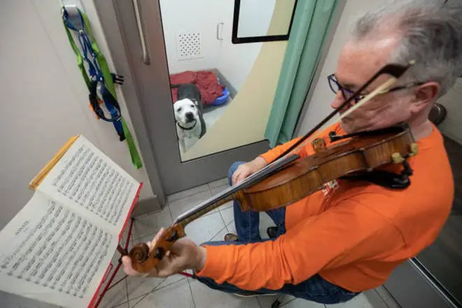 Martin Agee plays Bach for abused dogs. ASPCA