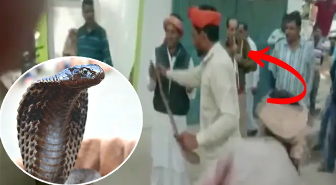 Police officer plays snake charmer's flute to help capture snake