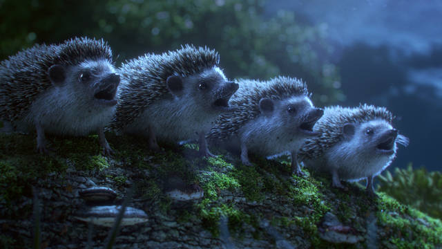 A chorus of hedgehogs
